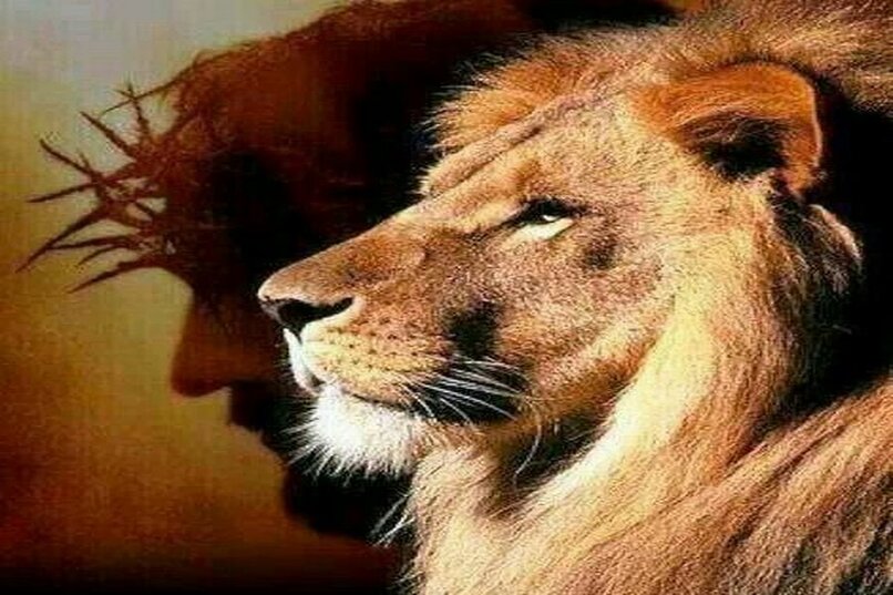 Qué significado tiene El León de la Tribu de Judá